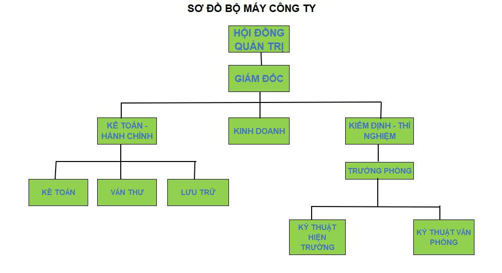 Cơ cấu tổ chức