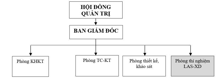 Cơ cấu tổ chức